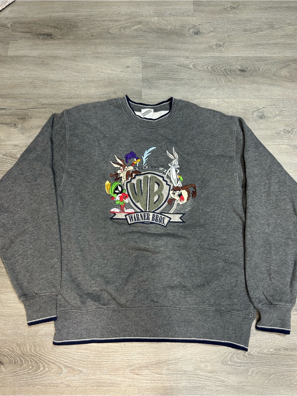 Warner Bros. Gray Crewneck Sweatshirt with Looney Tunes Patch